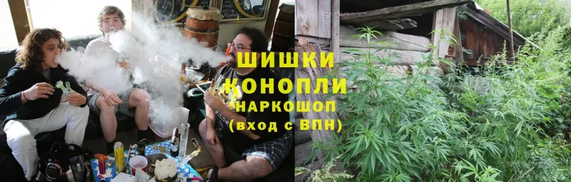 купить наркоту  Ковылкино  Шишки марихуана OG Kush 